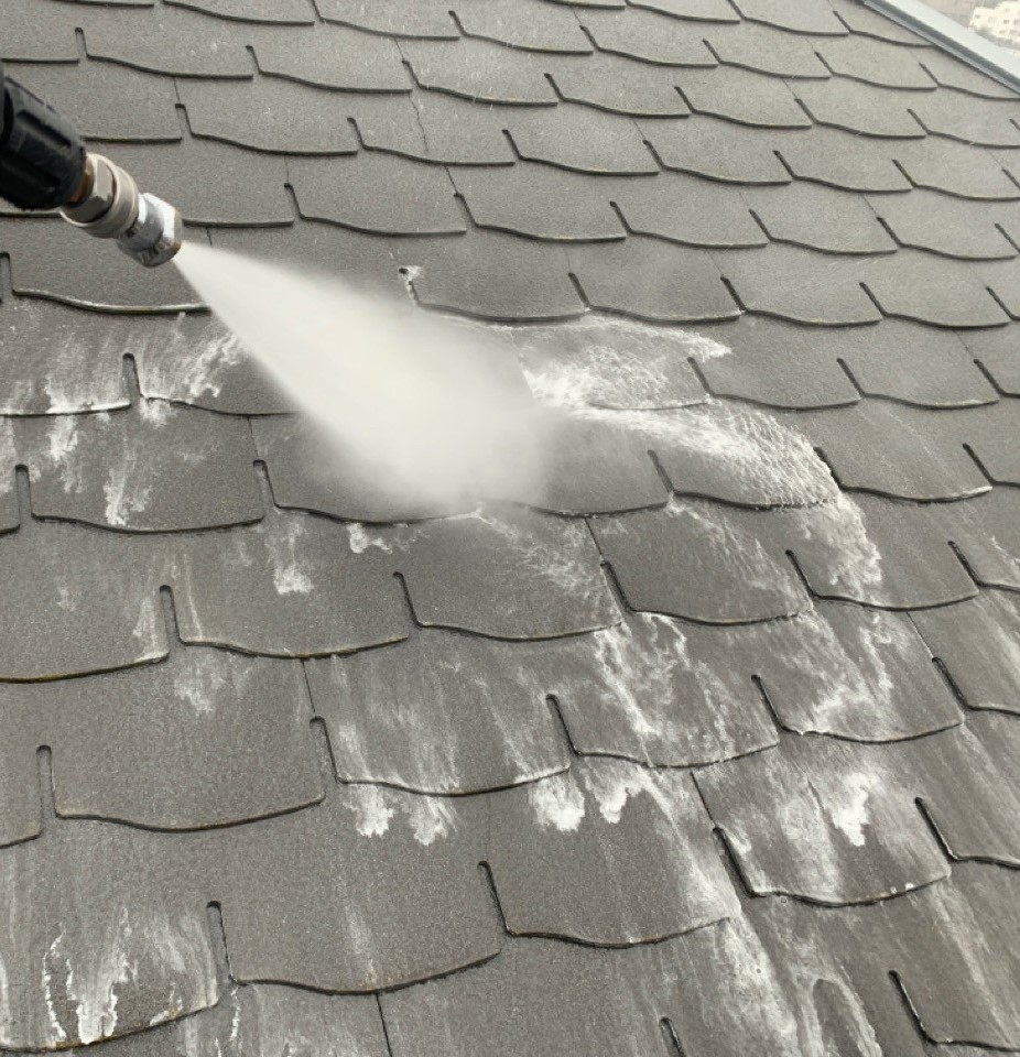 屋根のバイオ高圧洗浄